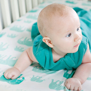 Cozy Basics Sleep Bag Aqua / Elephants Infant in crib